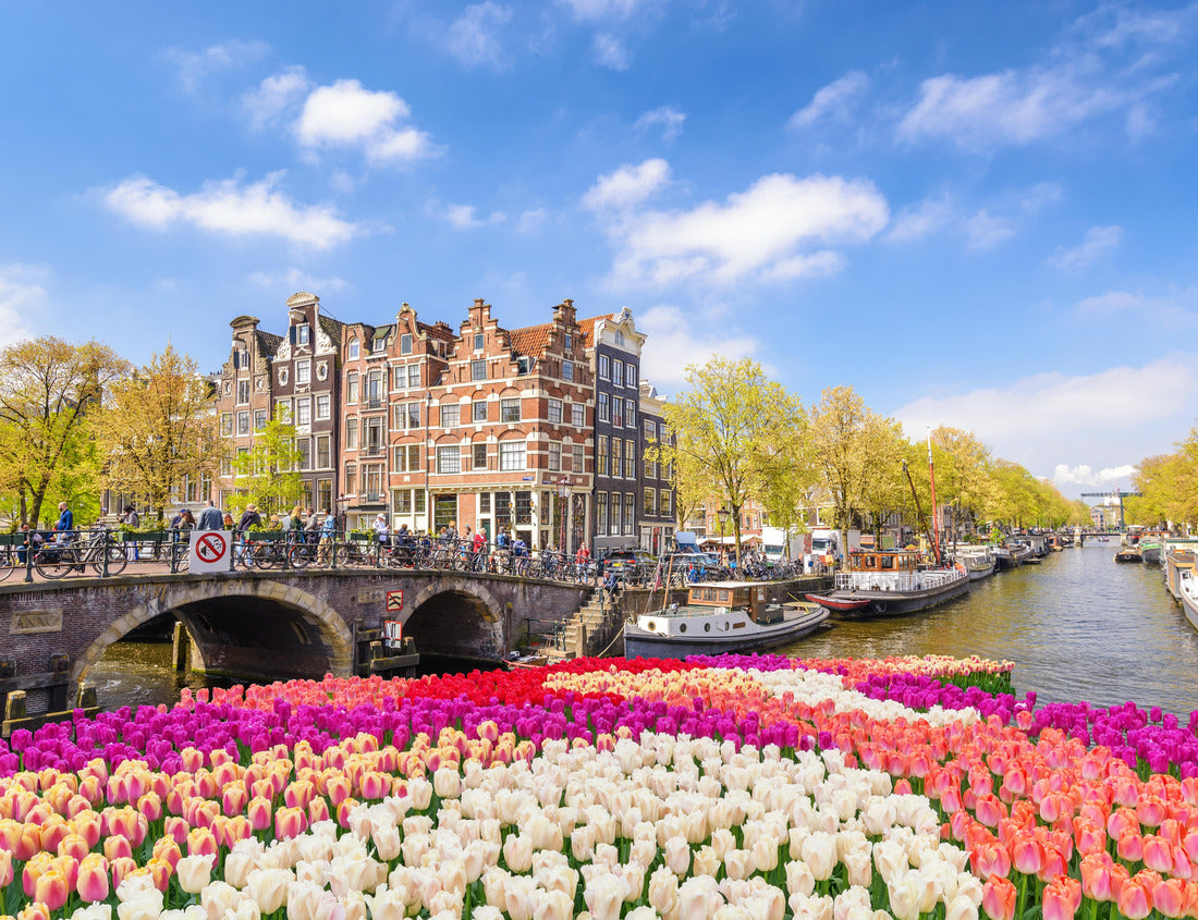 Noah Jigsaw Puzzle Amsterdam Netherlands, city skyline at the canal with spring tulips 1000 pieces