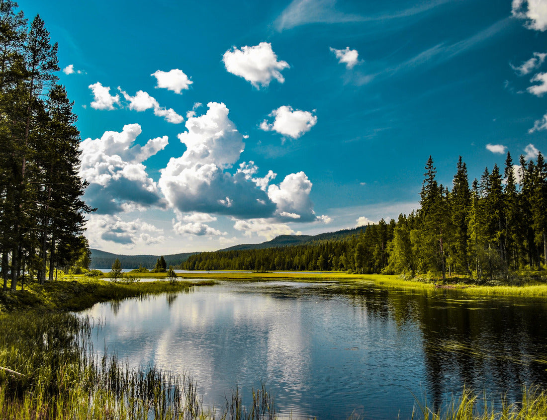Noah Jigsaw Puzzle Lake in Mora, Sweden 1000 pieces