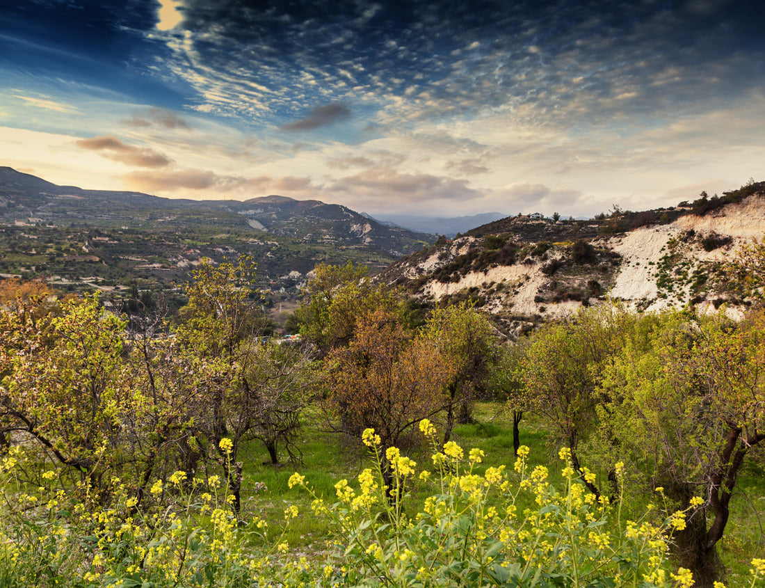 Noah Jigsaw Puzzle Beautiful scenery, a bright sunset in the mountains on the island of Cyprus, Troodos 1000 pieces