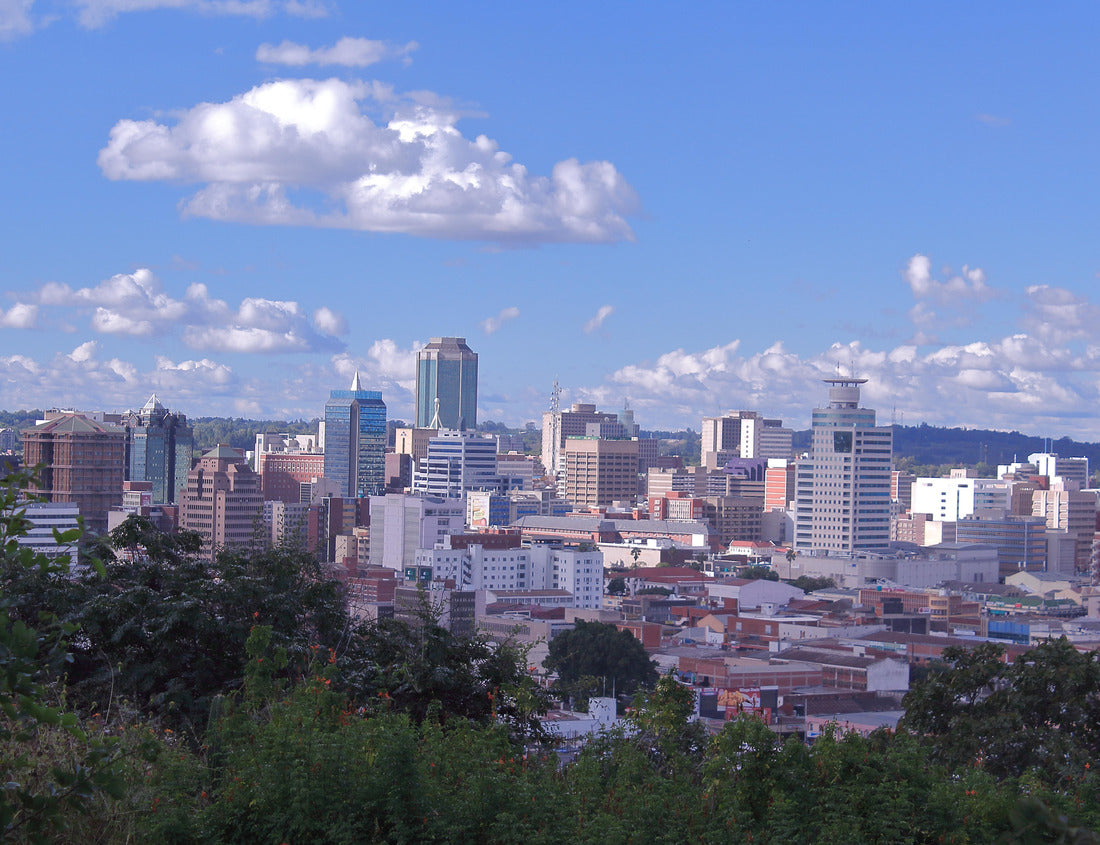 Noah Jigsaw Puzzle Harare, Zimbabwe 1000 pieces