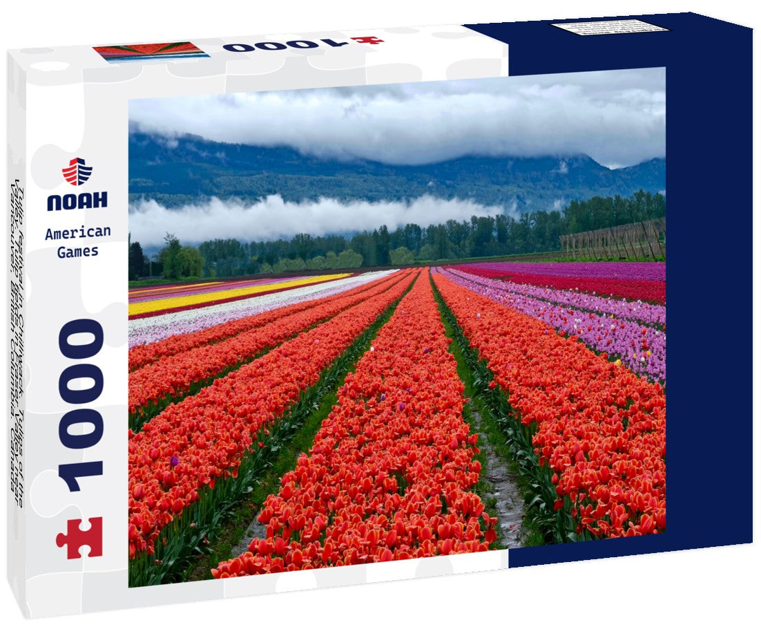 Noah Jigsaw Puzzle Tulip festival in Chilliwack. Tulips of the Valley. Tulip fields in Fraser Valley near Vancouver, British Columbia. Canada 1000 pieces