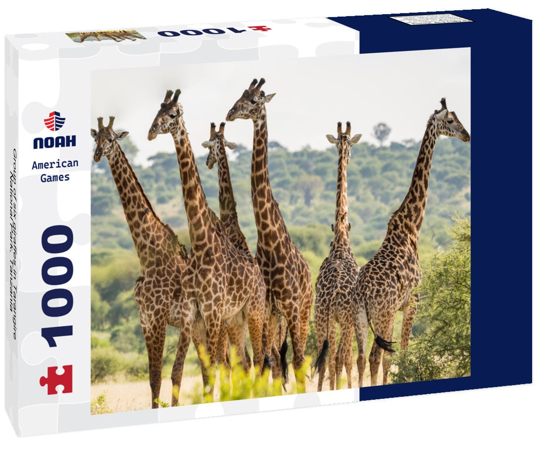 Noah Jigsaw Puzzle Group of six giraffes in Tarangire National Park, Tanzania 1000 pieces