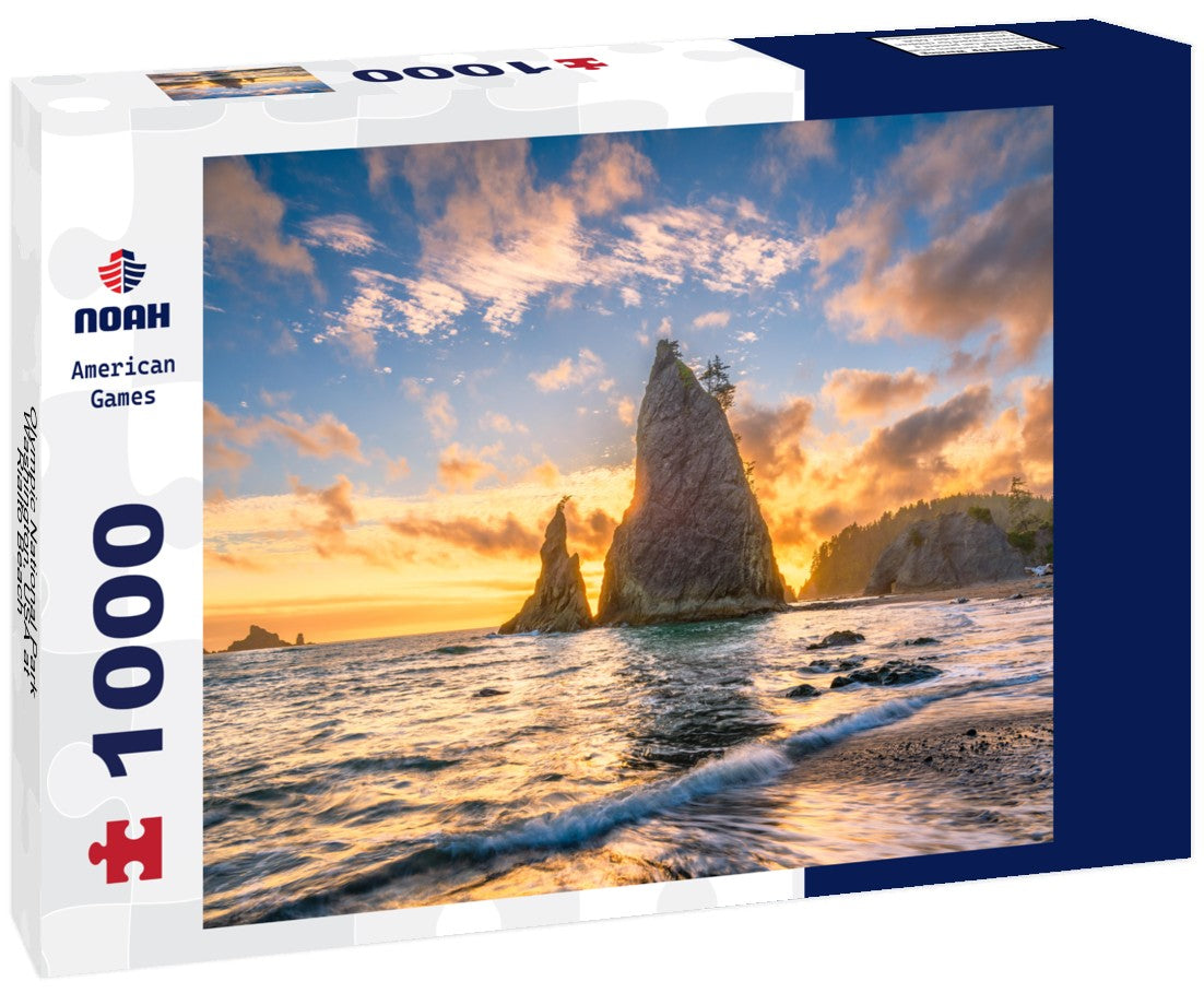 Noah Jigsaw Puzzle Olympic National Park, Washington, USA at Rialto Beach 1000 pieces