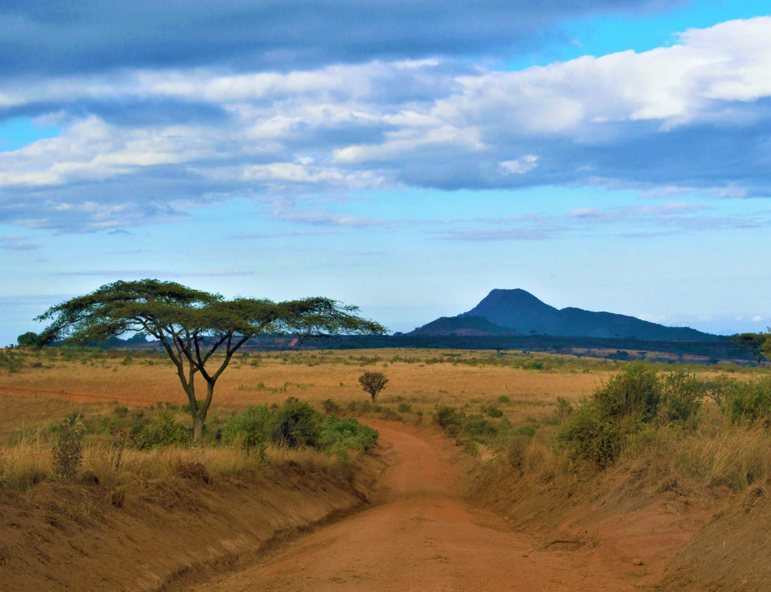 Noah Jigsaw Puzzle A dusty road, Malawi 1000 pieces