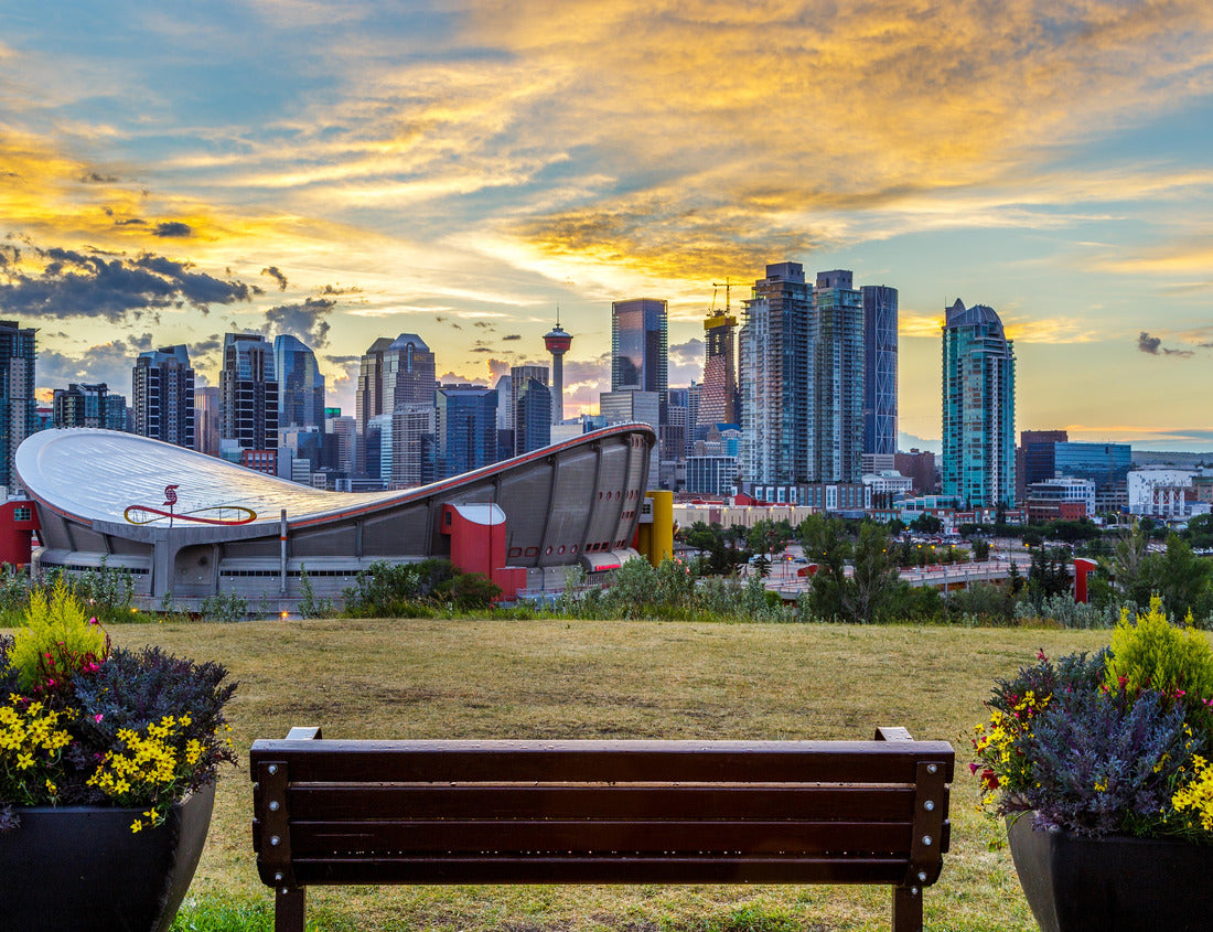 Noah Jigsaw Puzzle Calgary City. Downtown sunset. Calgary Saddledome sunset 1000 pieces