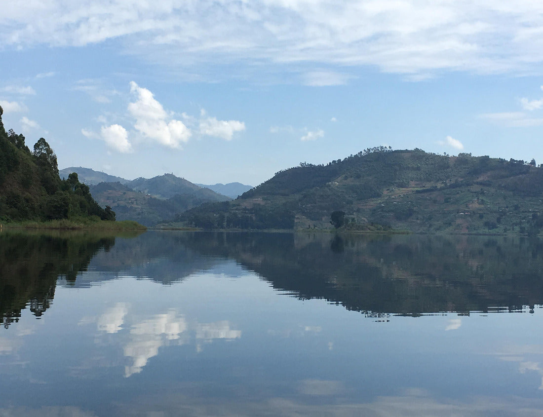 Noah Jigsaw Puzzle Calm Lake Mutanda with perfect water reflections of the lake scenery in southwestern Uganda in Africa 1000 pieces