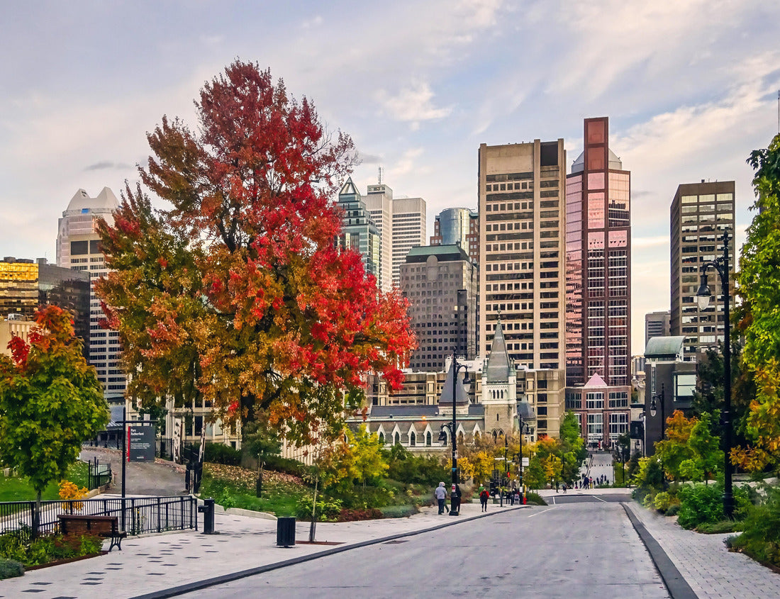Noah Jigsaw Puzzle Autumn threes in Canada Montreal 1000 pieces