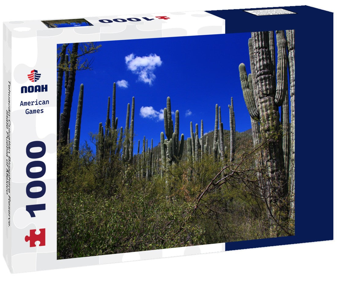 Noah Jigsaw Puzzle Tehuacán-Cuicatlán Biosphere Reserve. State Puebla of Mexico 1000 pieces