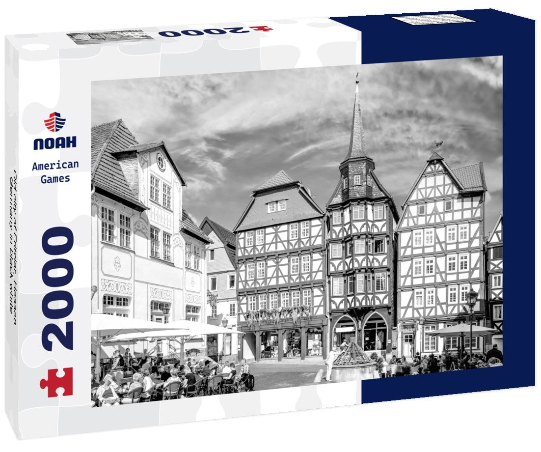 Noah Jigsaw Puzzle Old city of Fritzlar, Hessen, Germany in black white 2000 pieces