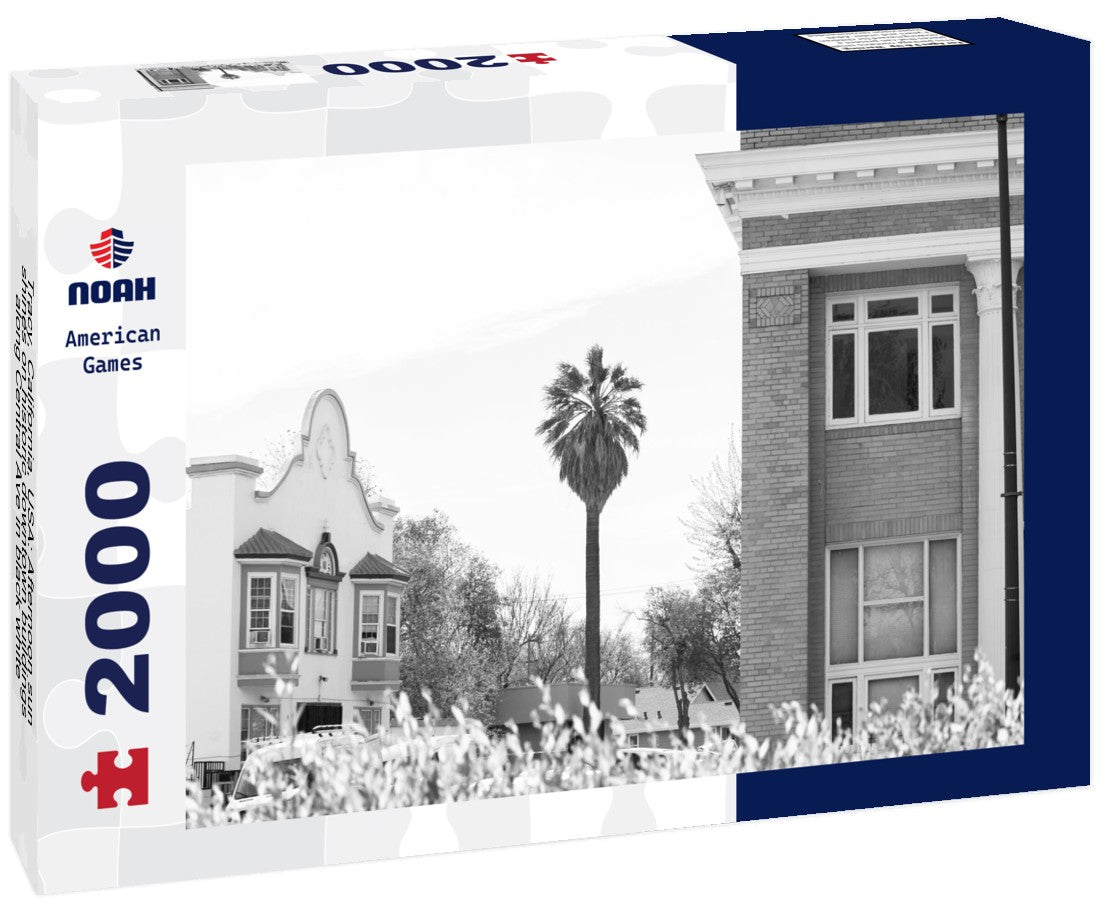 Noah Jigsaw Puzzle Tracy, California, USA: Afternoon sun shines on historic downtown buildings along Central Ave in black white 2000 pieces