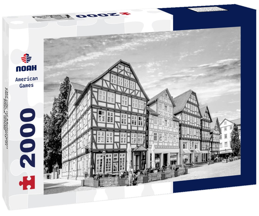 Noah Jigsaw Puzzle Old city of Melsungen, Hessen, Germany in black white 2000 pieces