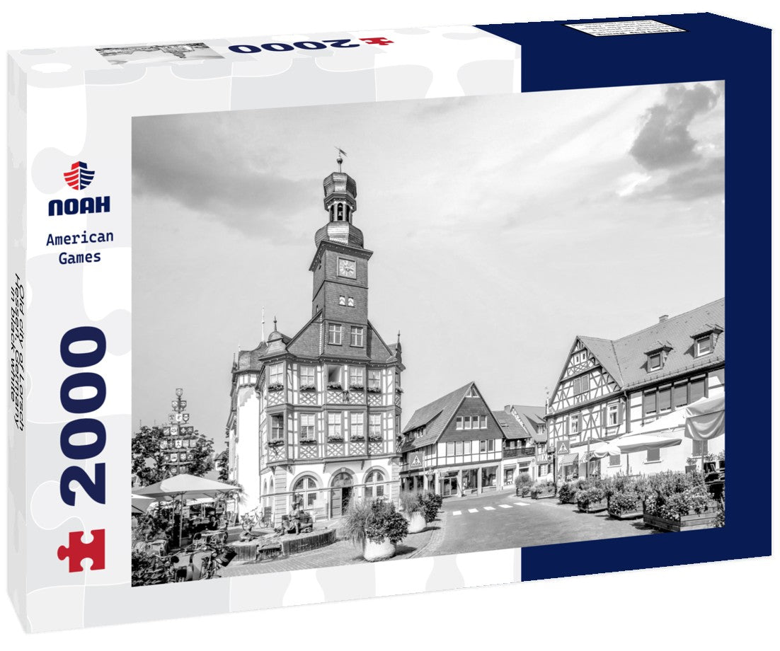 Noah Jigsaw Puzzle Old city of Lorsch, Hessen, Germany in black white 2000 pieces
