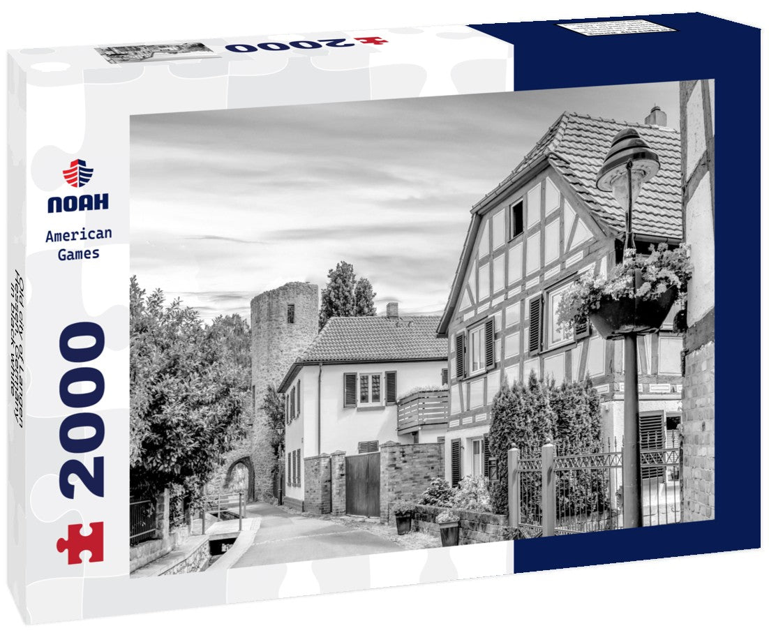 Noah Jigsaw Puzzle Old city of Langen, Hessen, Germany in black white 2000 pieces