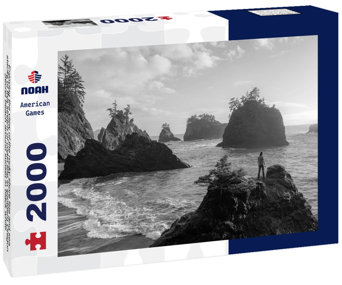 Noah Jigsaw Puzzle Enjoying the view of the rocky shore line and sea stacks of this stretch of coast line in southern Oregon, Secret beach around sunset in black white 2000 pieces