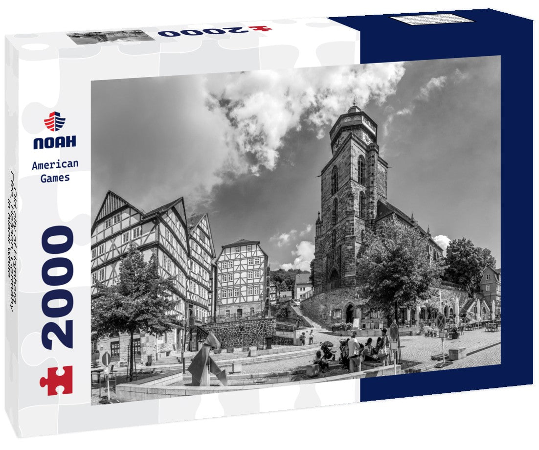 Noah Jigsaw Puzzle Old city of Homberg Efze, Hessen, Germany in black white 2000 pieces