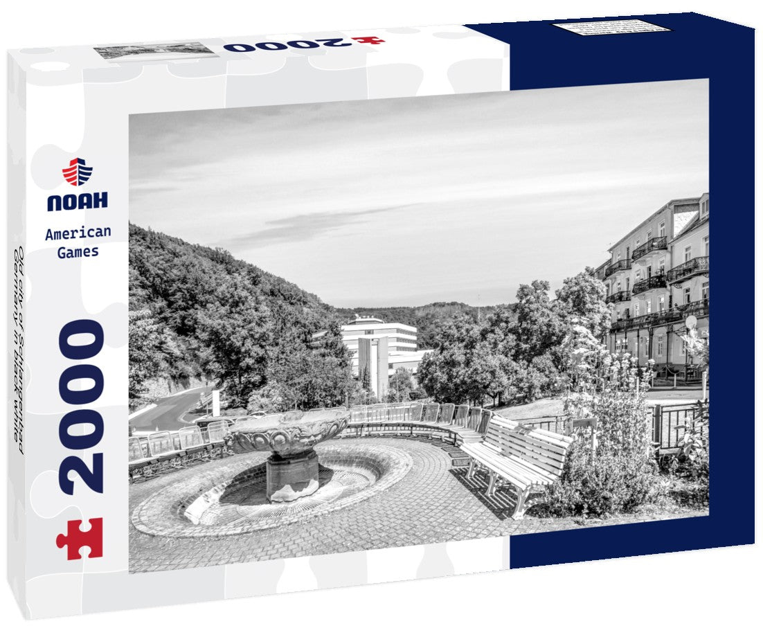 Noah Jigsaw Puzzle Old city of Schlangenbad, Germany in black white 2000 pieces