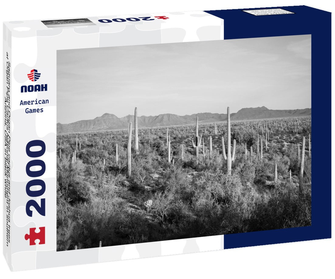 Noah Jigsaw Puzzle Saguaro and Organ Pipe cactus and Joshua trees at Organ Pipe Cactus National Monument in southern Arizona, USA in black white 2000 pieces