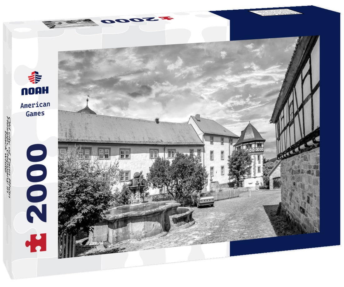 Noah Jigsaw Puzzle Old city of Tann Rhön, Hessen, Germany in black white 2000 pieces