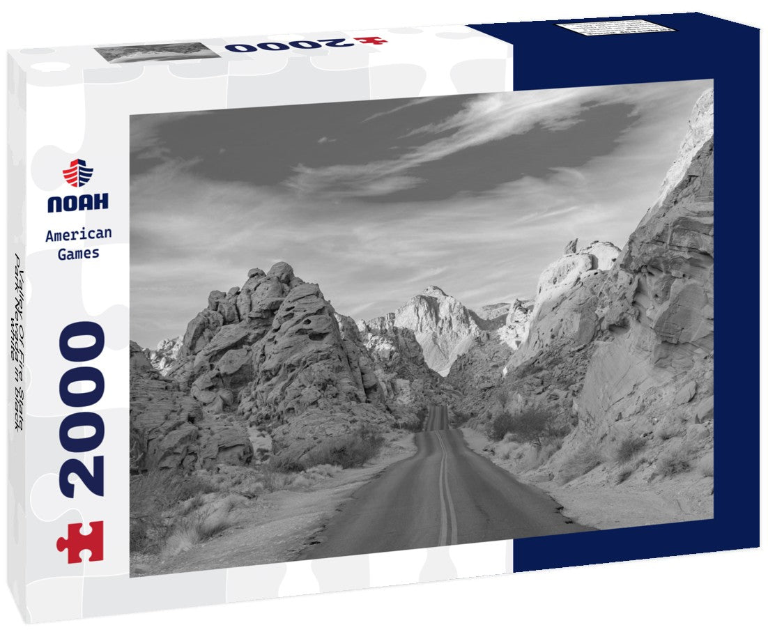 Noah Jigsaw Puzzle Valley Of Fire State Park Nevada in black white 2000 pieces