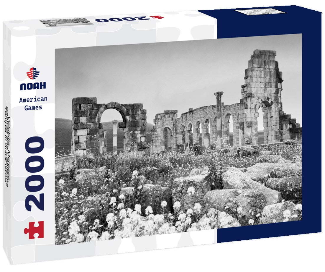 Noah Jigsaw Puzzle Volubilis, Morocco. Basilica and Capitoline Temple in black white 2000 pieces