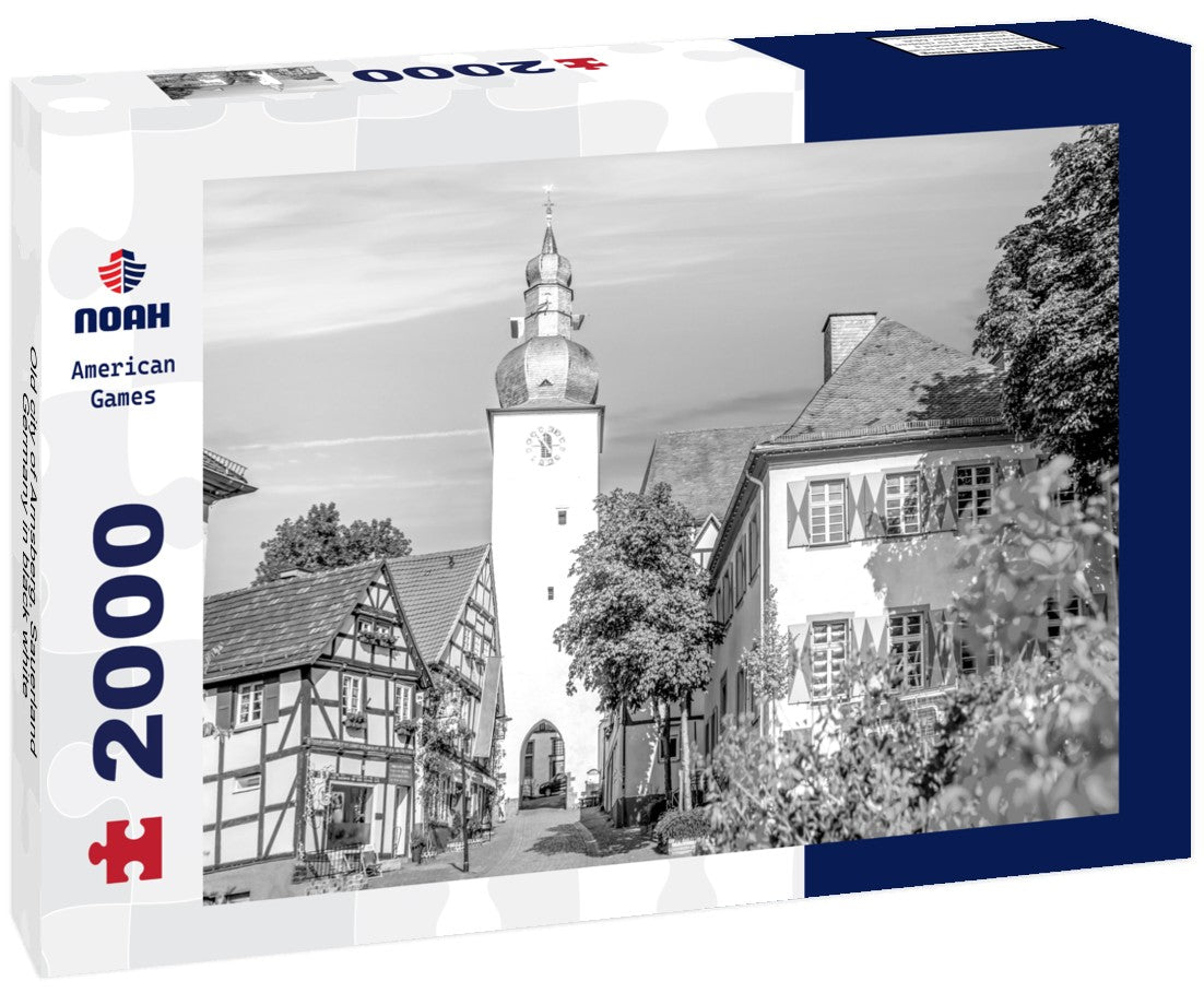 Noah Jigsaw Puzzle Old city of Arnsberg, Sauerland, Germany in black white 2000 pieces