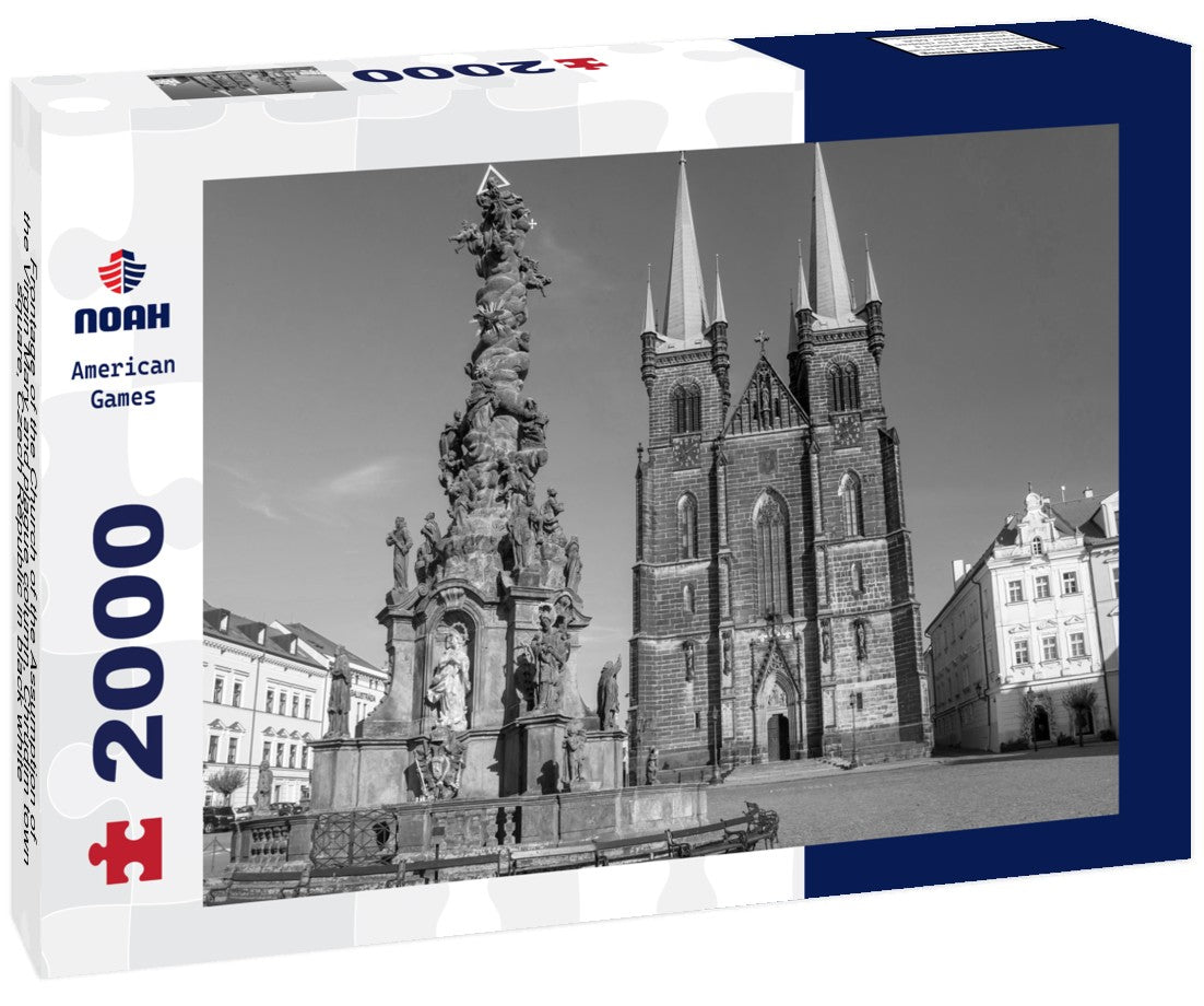 Noah Jigsaw Puzzle Frontage of the Church of the Assumption of the Virgin Mary and plague column, Chrudim town square, Czech Republic in black white 2000 pieces