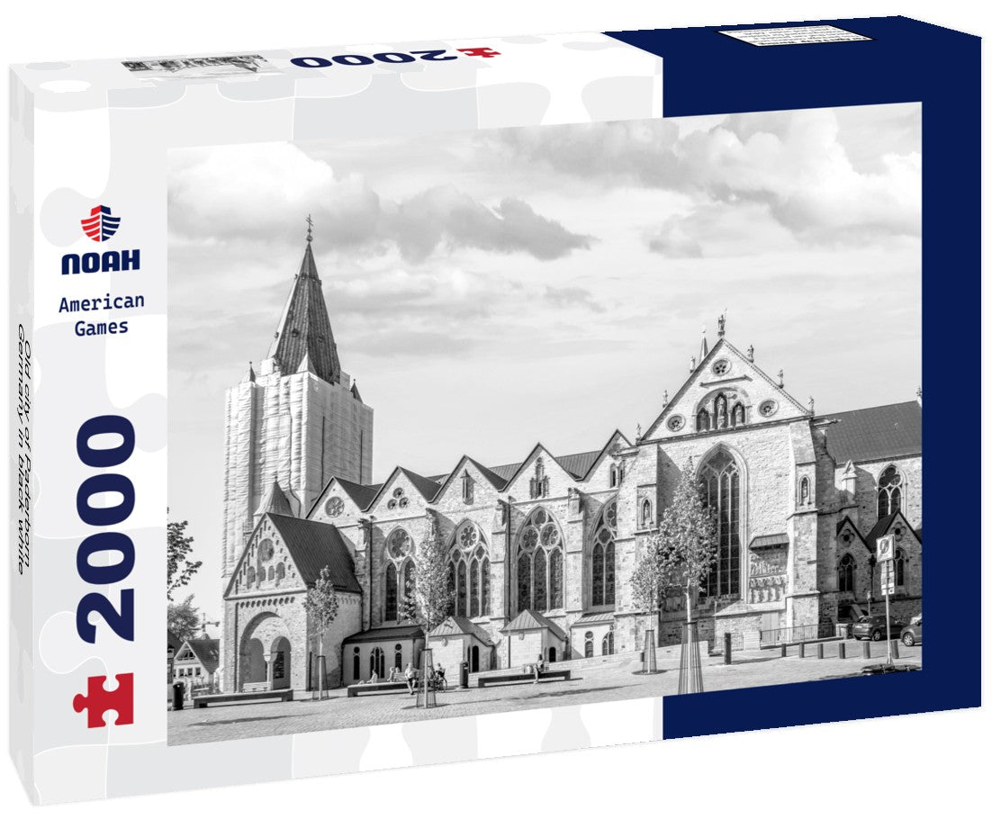 Noah Jigsaw Puzzle Old city of Paderborn, Germany in black white 2000 pieces