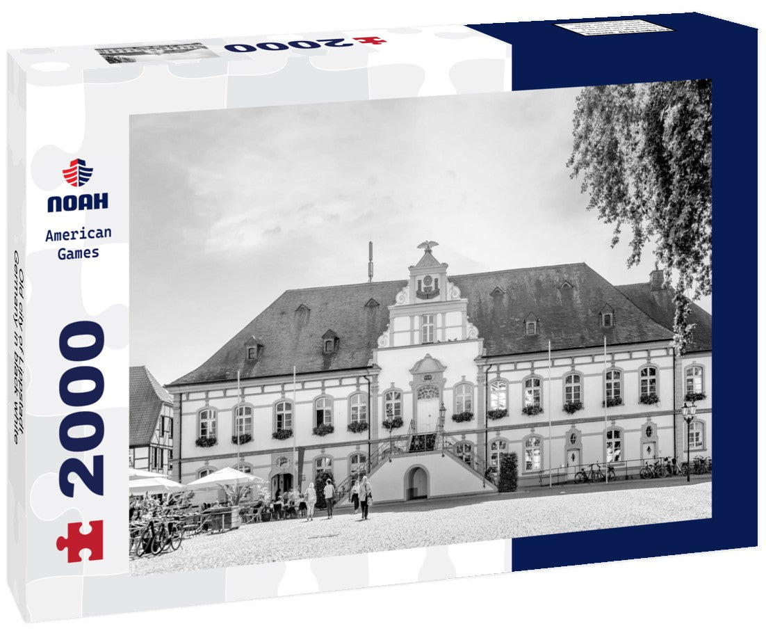 Noah Jigsaw Puzzle Old city of Lippstadt, Germany in black white 2000 pieces