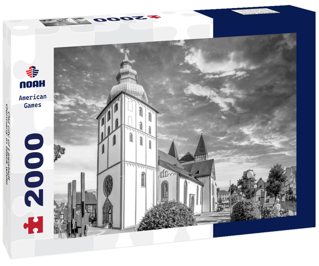 Noah Jigsaw Puzzle Old city of Lippstadt, Germany in black white 2000 pieces