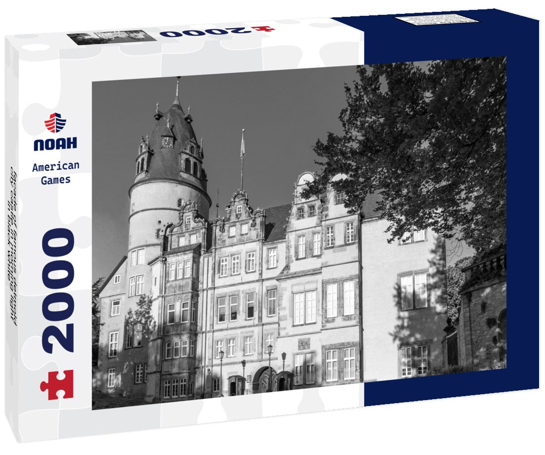 Noah Jigsaw Puzzle facade of famous detmold city castle in morning light in black white 2000 pieces