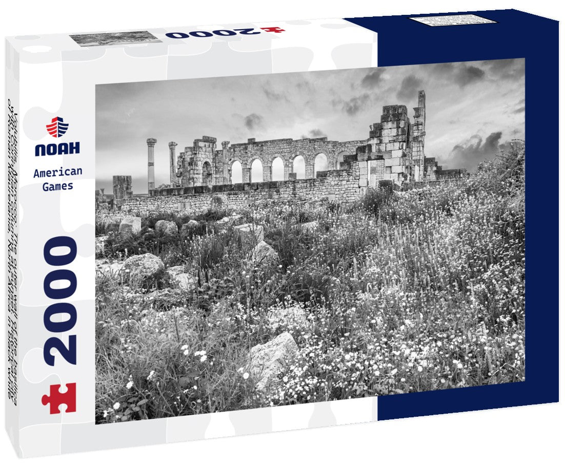Noah Jigsaw Puzzle Volubilis, Morocco: The outer wall of the basilica, with Corinthian columns at sunset. Historical city of Roman Mauretania, North Africa in black white 2000 pieces