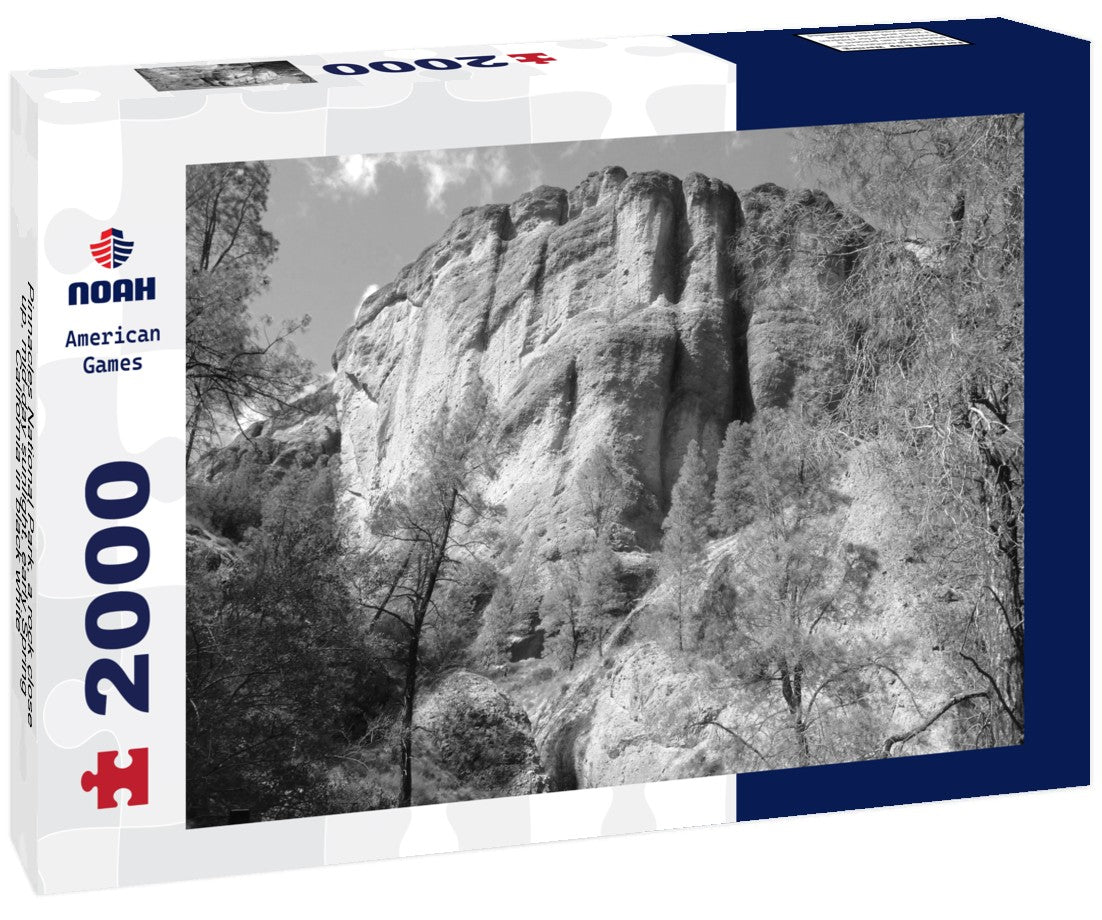 Noah Jigsaw Puzzle Pinnacles National Park, a rock close-up, mid-day sunlight, early Spring, California in black white 2000 pieces