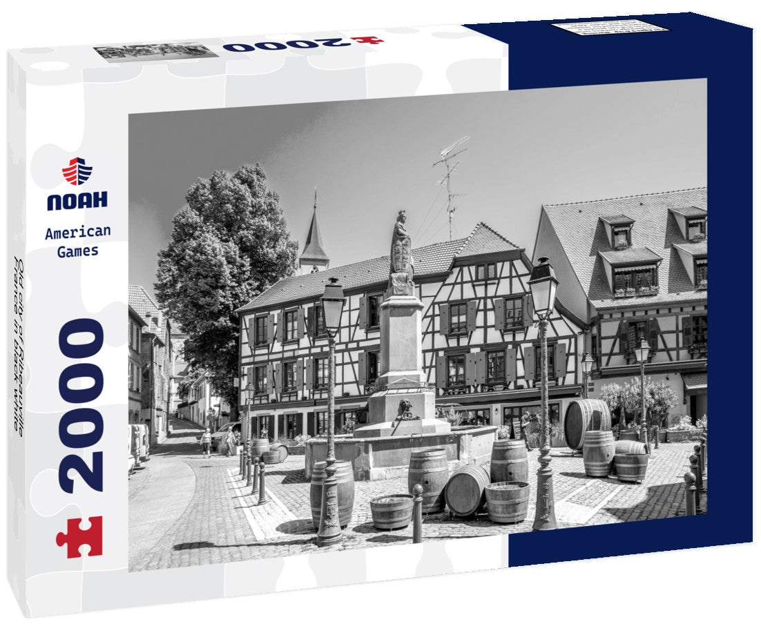 Noah Jigsaw Puzzle Old city of Ribeauville, France in black white 2000 pieces