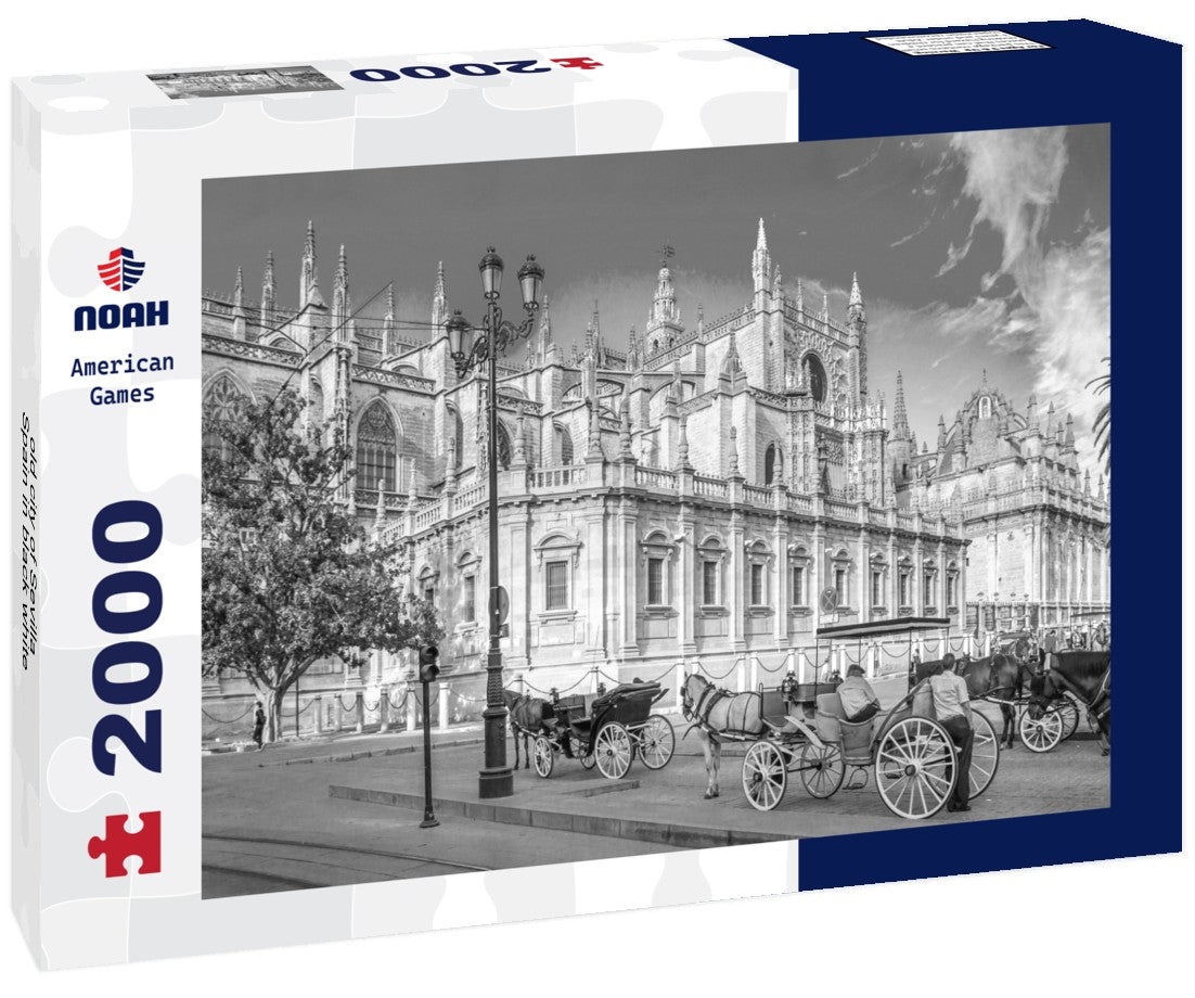 Noah Jigsaw Puzzle old city of Sevilla, Spain in black white 2000 pieces