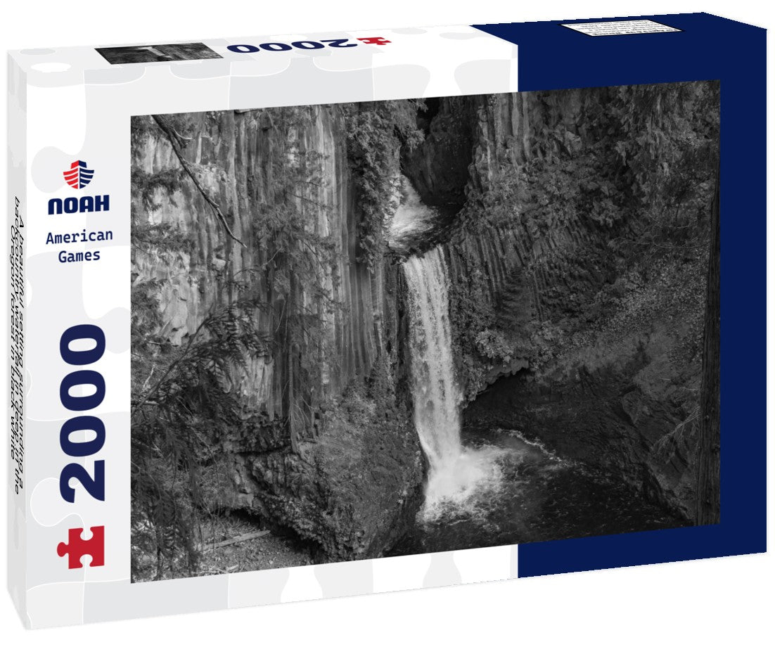 Noah Jigsaw Puzzle A beautiful setting surrounding a backcountry waterfall in deep in the Oregon forest in black white 2000 pieces