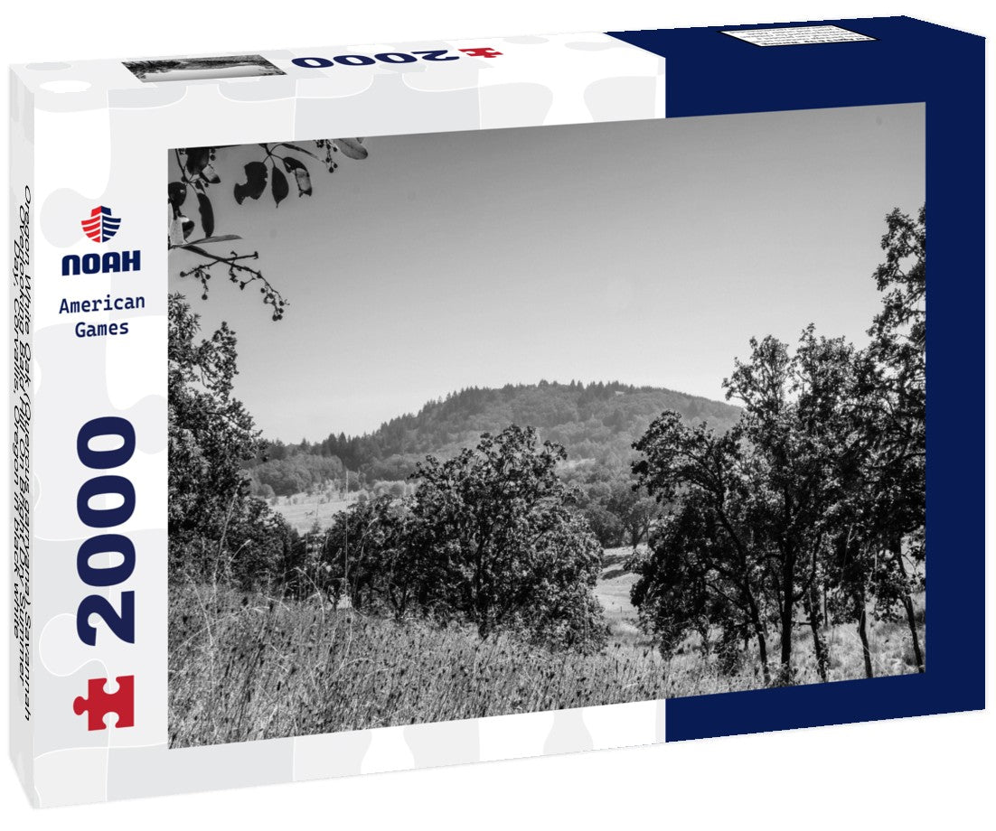 Noah Jigsaw Puzzle Oregon White Oak (Quercus garryana) Savannah Overlooking Bald Hill On Bright Dry Summer Day, Corvallis, Oregon in black white 2000 pieces