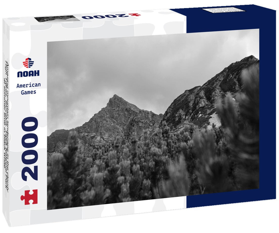 Noah Jigsaw Puzzle Amazing mountain landscape in the cloudy High Tatras, Slovakia. Tatra National Park at summer time in black white 2000 pieces