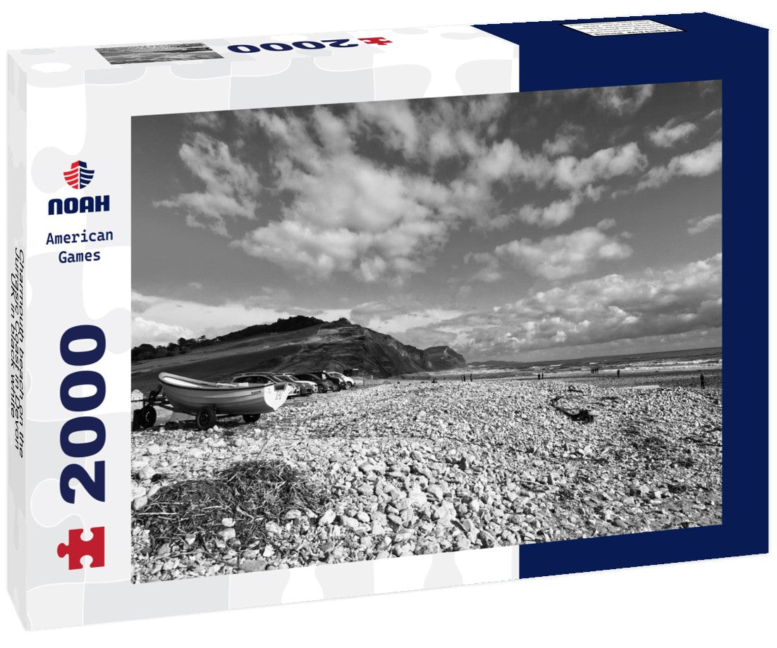 Noah Jigsaw Puzzle Charmouth beach on the Jurrasic Coast in Devon, UK in black white 2000 pieces