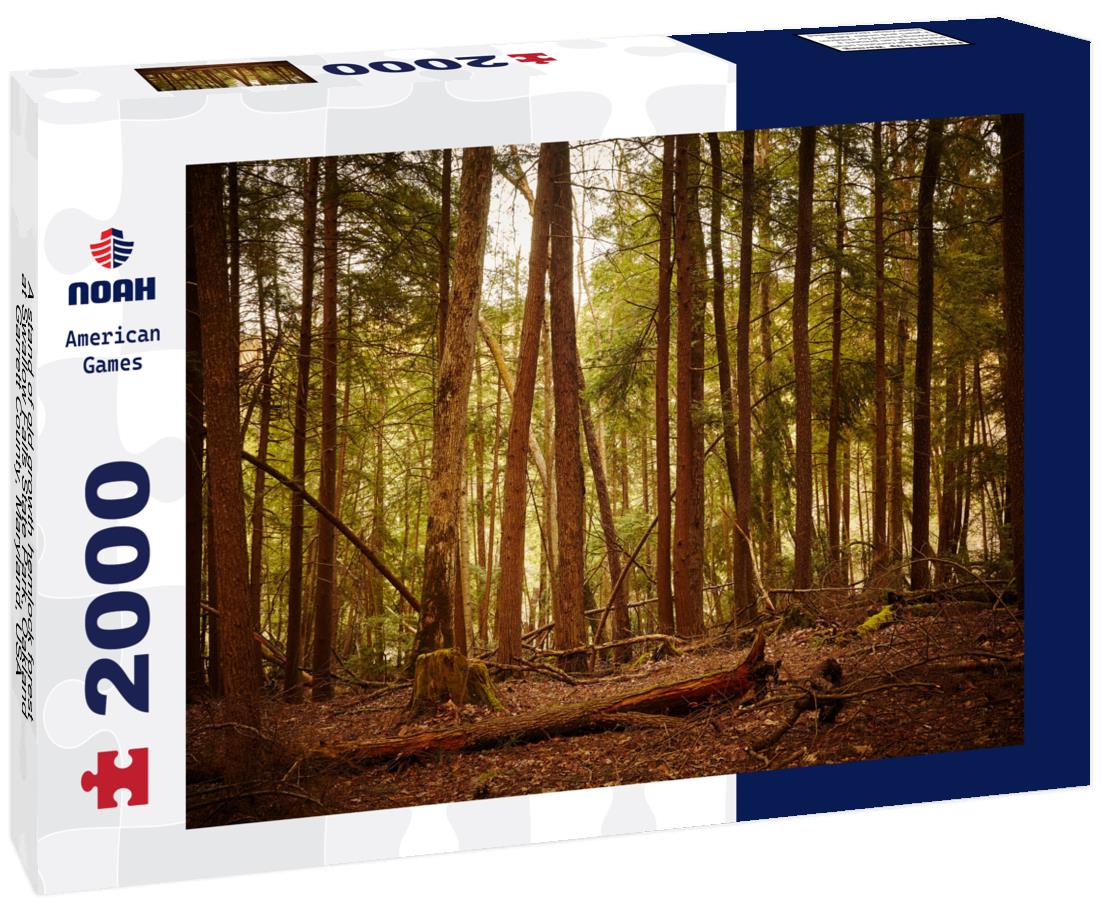 Noah Jigsaw Puzzle A stand of old growth hemlock forest at Swallow Falls State Park, Oakland, Garrett County, Maryland, USA 2000 pieces