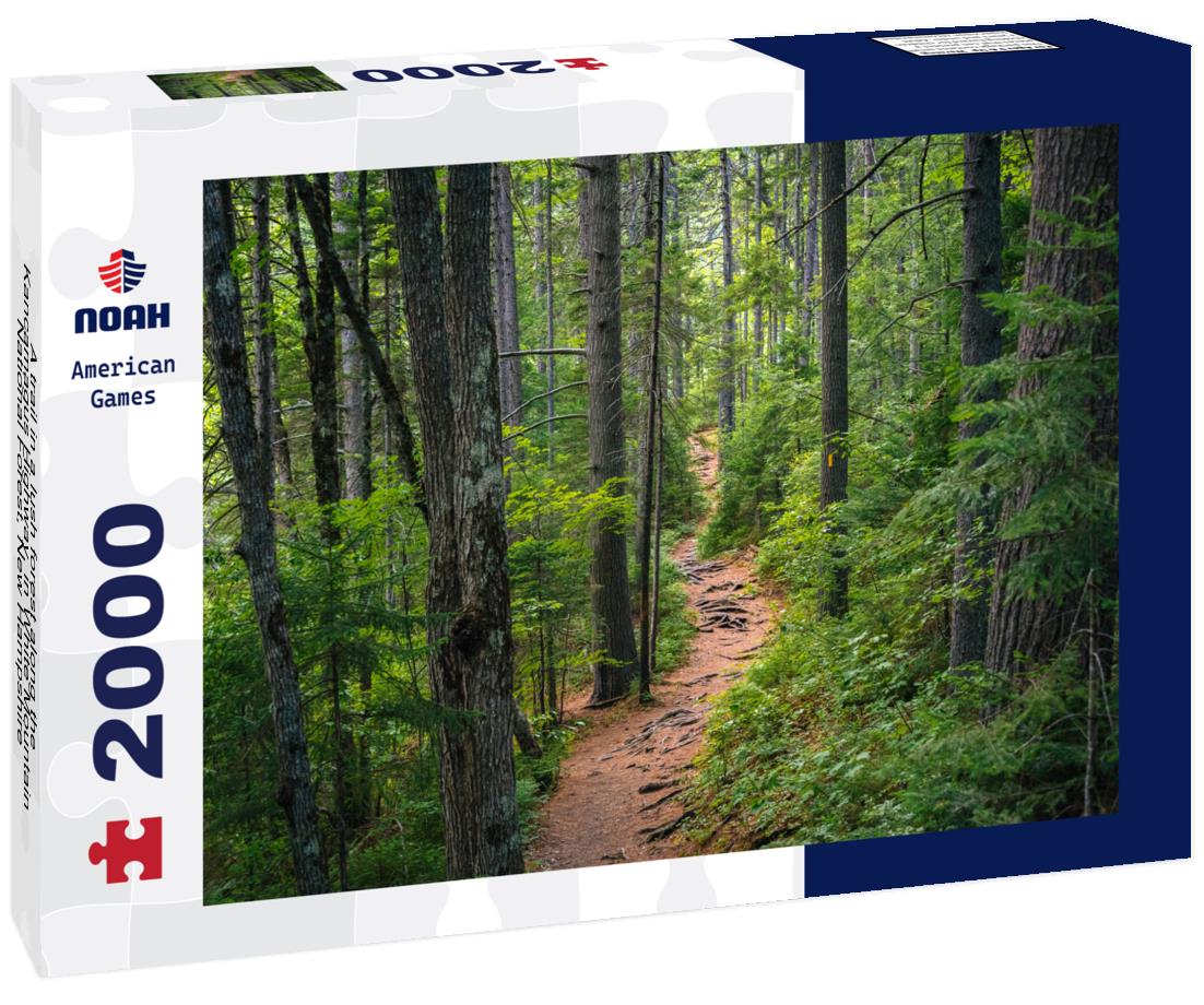 Noah Jigsaw Puzzle A trail in a lush forest along the Kancamagus Highway, in White Mountain National Forest, New Hampshire 2000 pieces