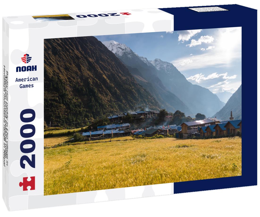 Noah Jigsaw Puzzle Barley rice paddy in Lho village in Manaslu circuit trekking route, Himalaya mountains range in Nepal 2000 pieces
