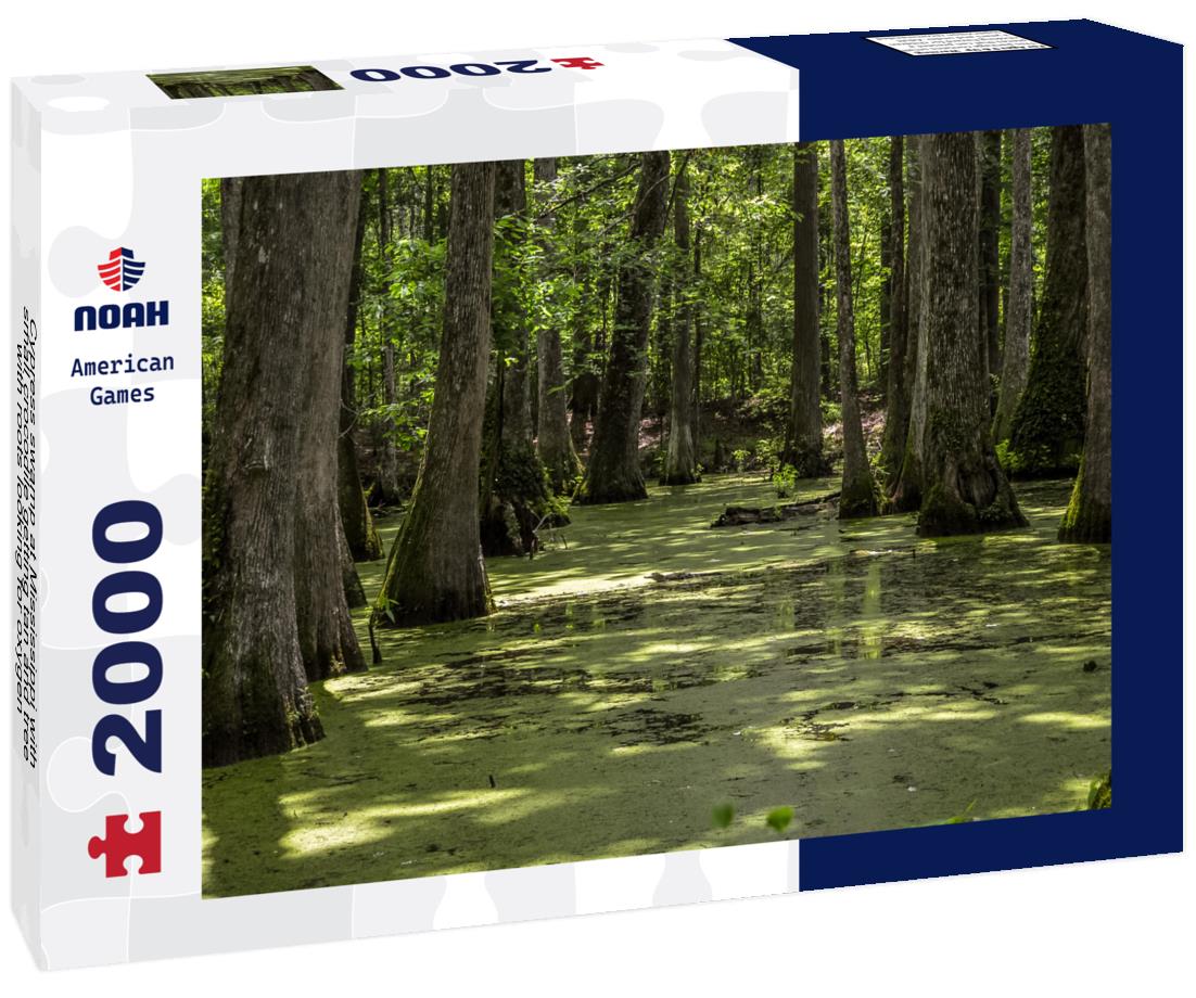 Noah Jigsaw Puzzle Cypress swamp at Mississippi with small crocodile getting tan and tree with roots looking for oxygen 2000 pieces