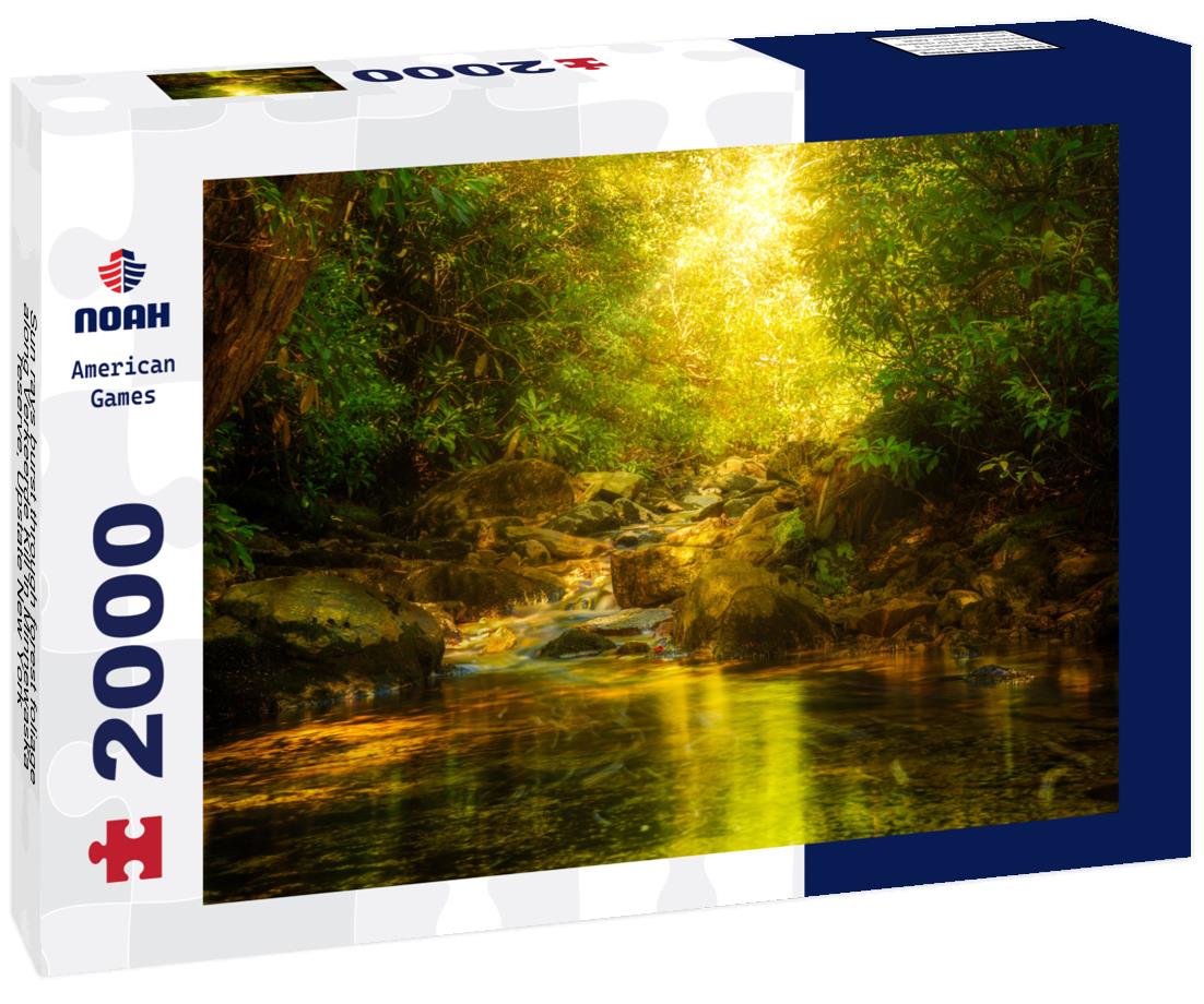 Noah Jigsaw Puzzle Sun rays burst through forest foliage along Verkeerde Kill in Minnewaska reserve, Upstate New York 2000 pieces