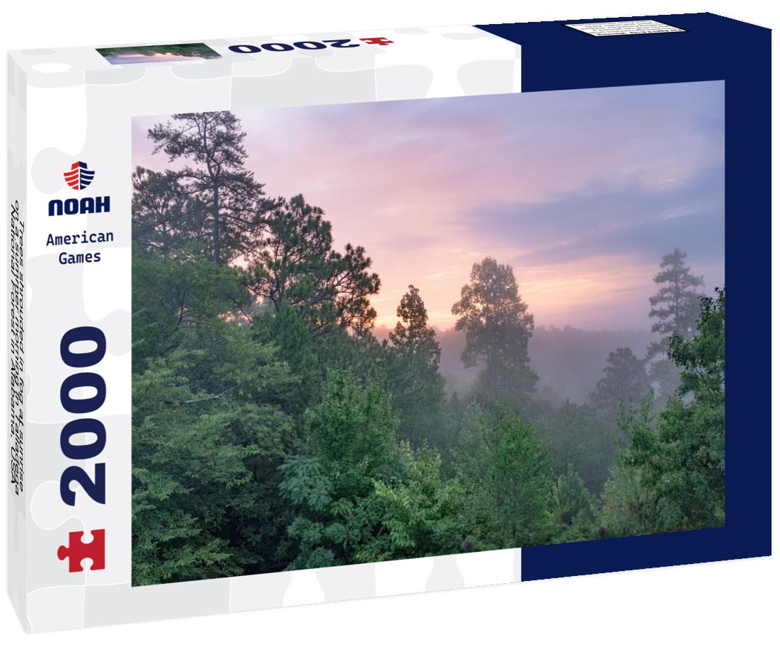 Noah Jigsaw Puzzle Trees shrouded in fog at sunrise on a summer morning in Talladega National Forest in Alabama, USA 2000 pieces