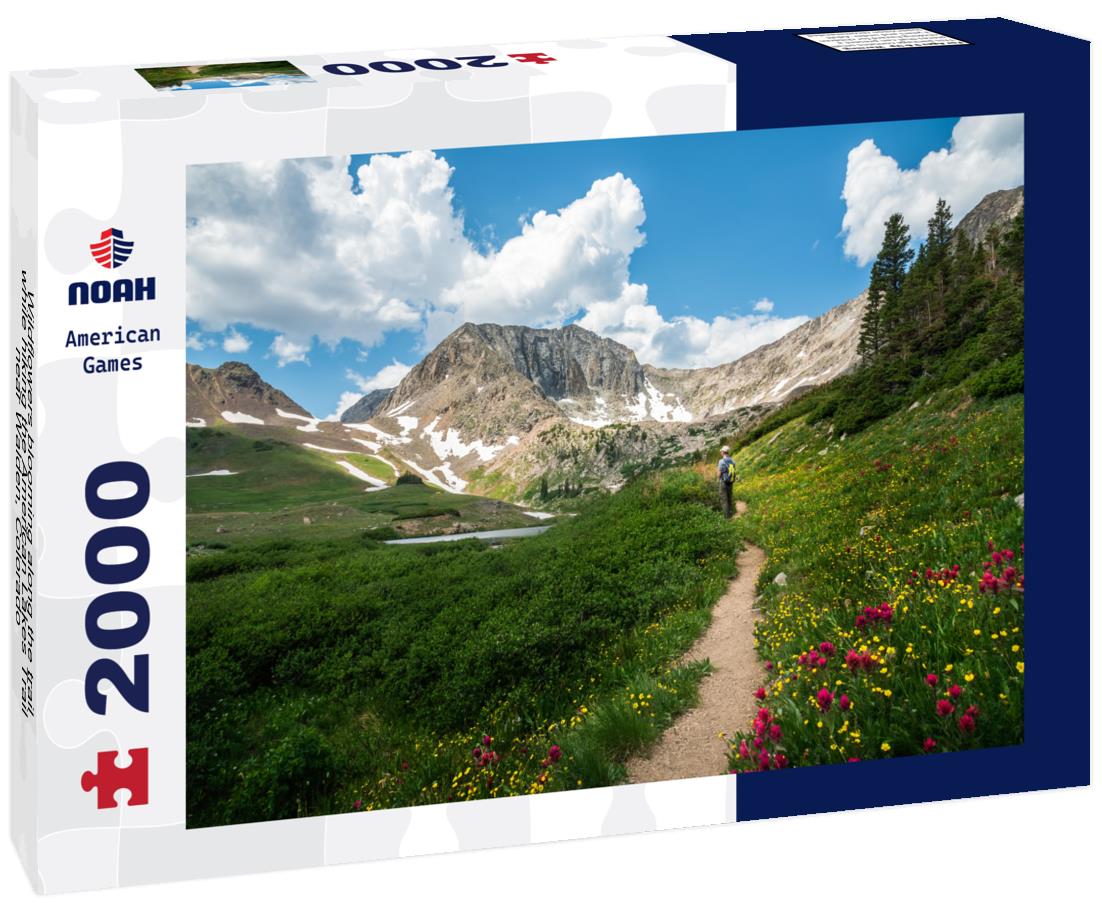 Noah Jigsaw Puzzle Wildflowers blooming along the trail while hiking the American Lakes Trail near Walden, Colorado 2000 pieces