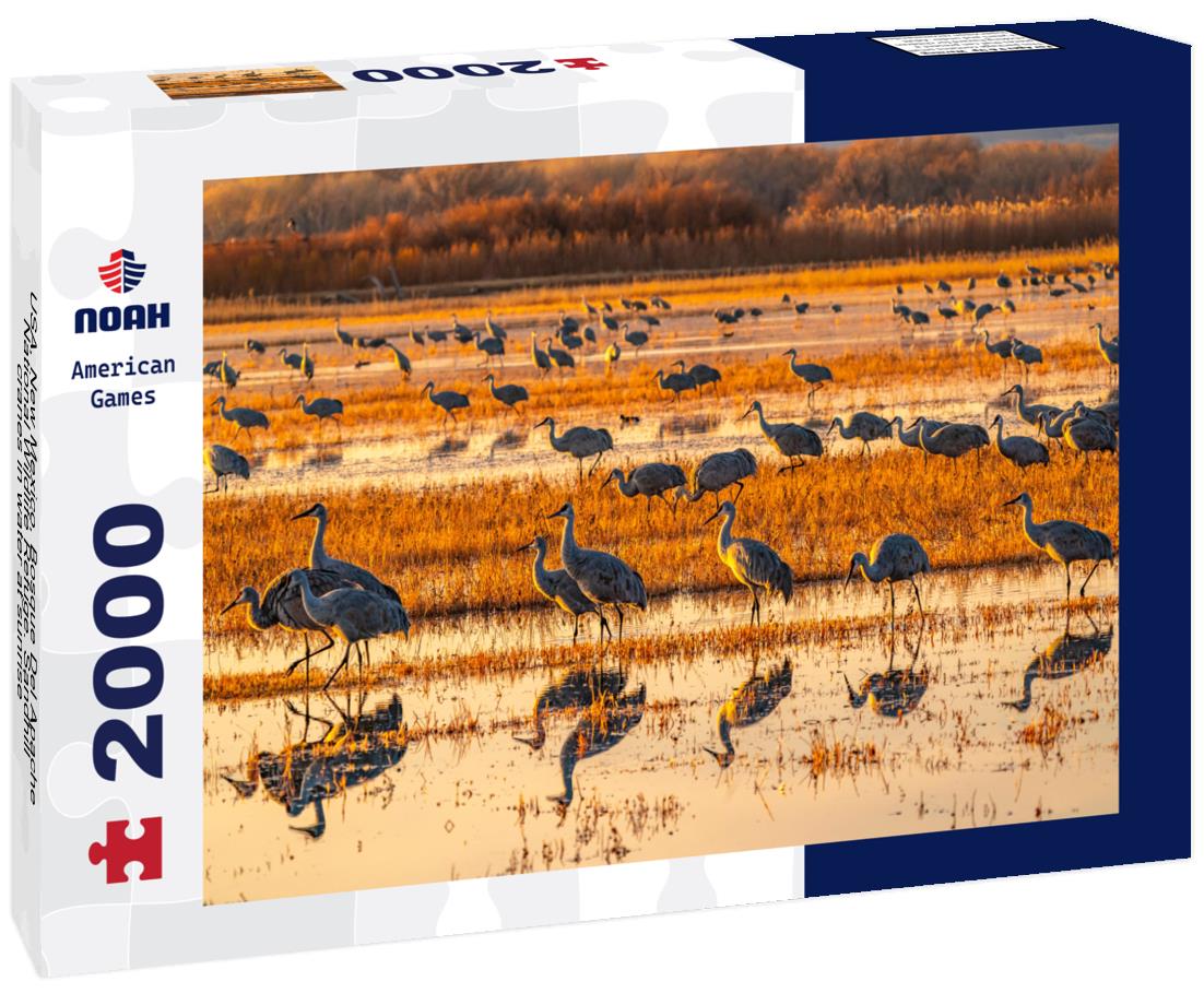 Noah Jigsaw Puzzle USA, New Mexico, Bosque Del Apache National Wildlife Refuge. Sandhill cranes in water at sunrise 2000 pieces
