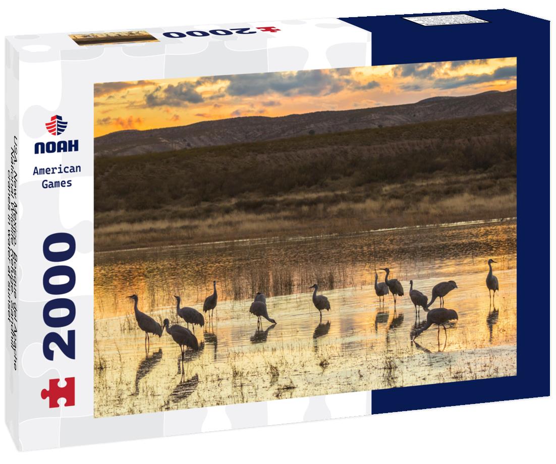 Noah Jigsaw Puzzle USA, New Mexico, Bosque del Apache National Wildlife Refuge. Sandhill cranes in water at sunset 2000 pieces