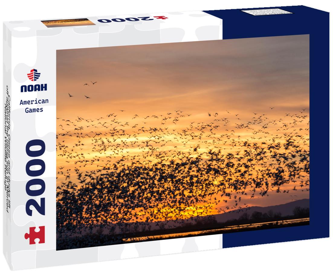 Noah Jigsaw Puzzle California. Geese and ducks lift off against the rising sun in Merced National Wildlife Refuge 2000 pieces