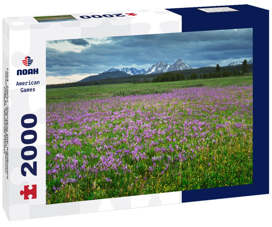 Noah Jigsaw Puzzle USA, Idaho. Shooting star wildflowers blooming in Elk Meadows, Salmon-Challis National Forest 2000 pieces