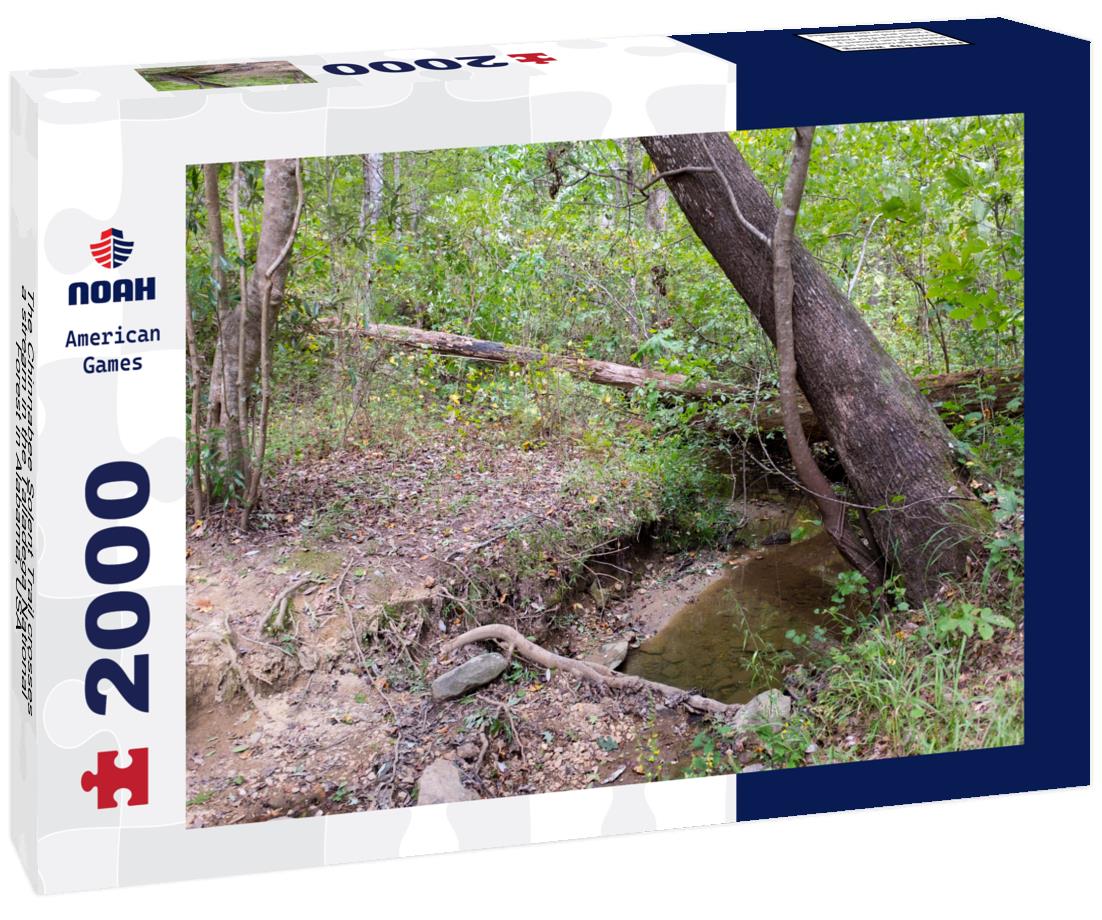 Noah Jigsaw Puzzle The Chinnabee Solent Trail crosses a stream in the Talladega National Forest in Alabama, USA 2000 pieces